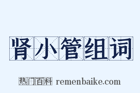 肾小管组词是什么意思的图片
